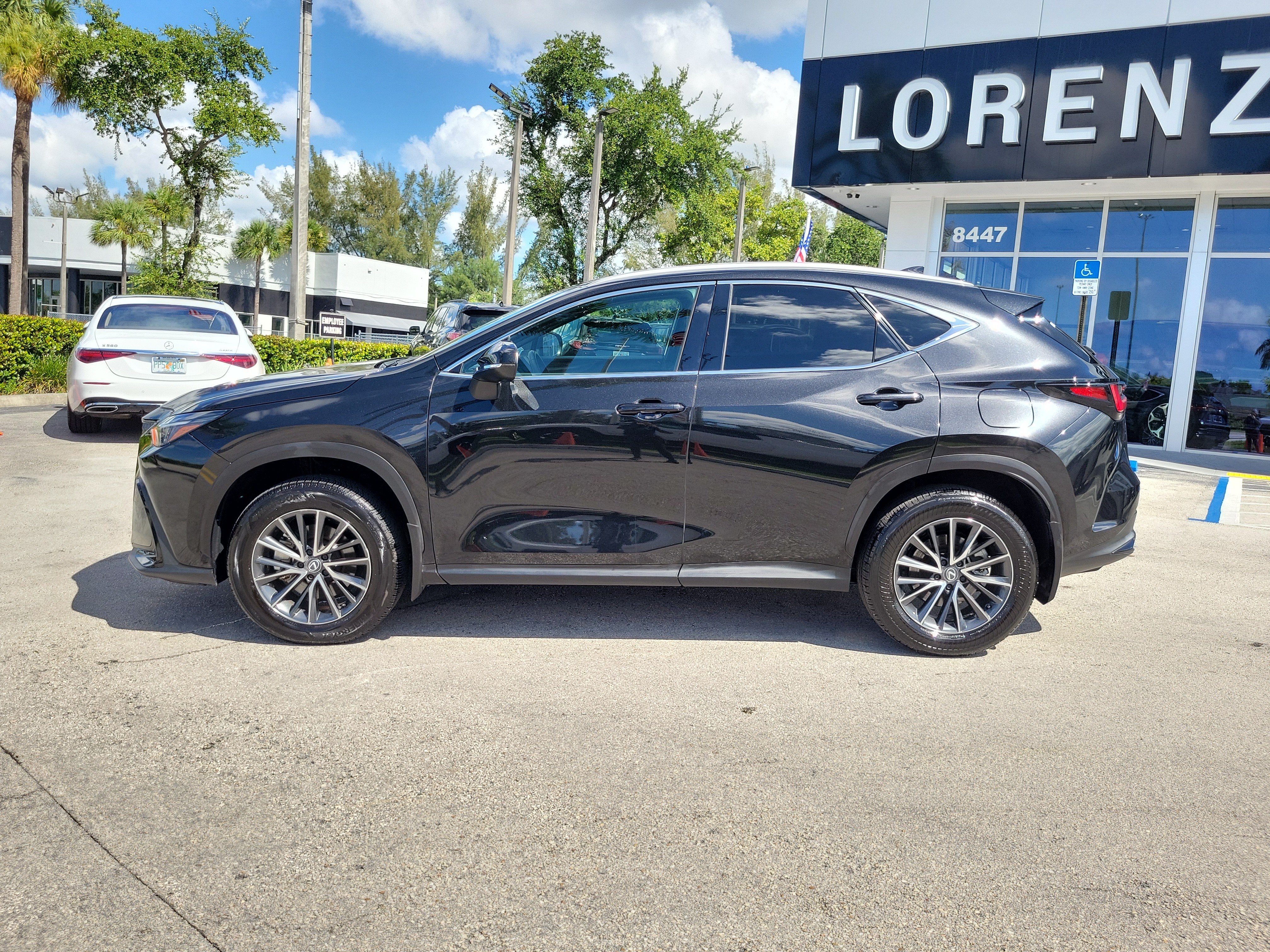 2024 Lexus NX NX 250 Premium