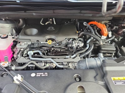 2025 Toyota Sienna Platinum