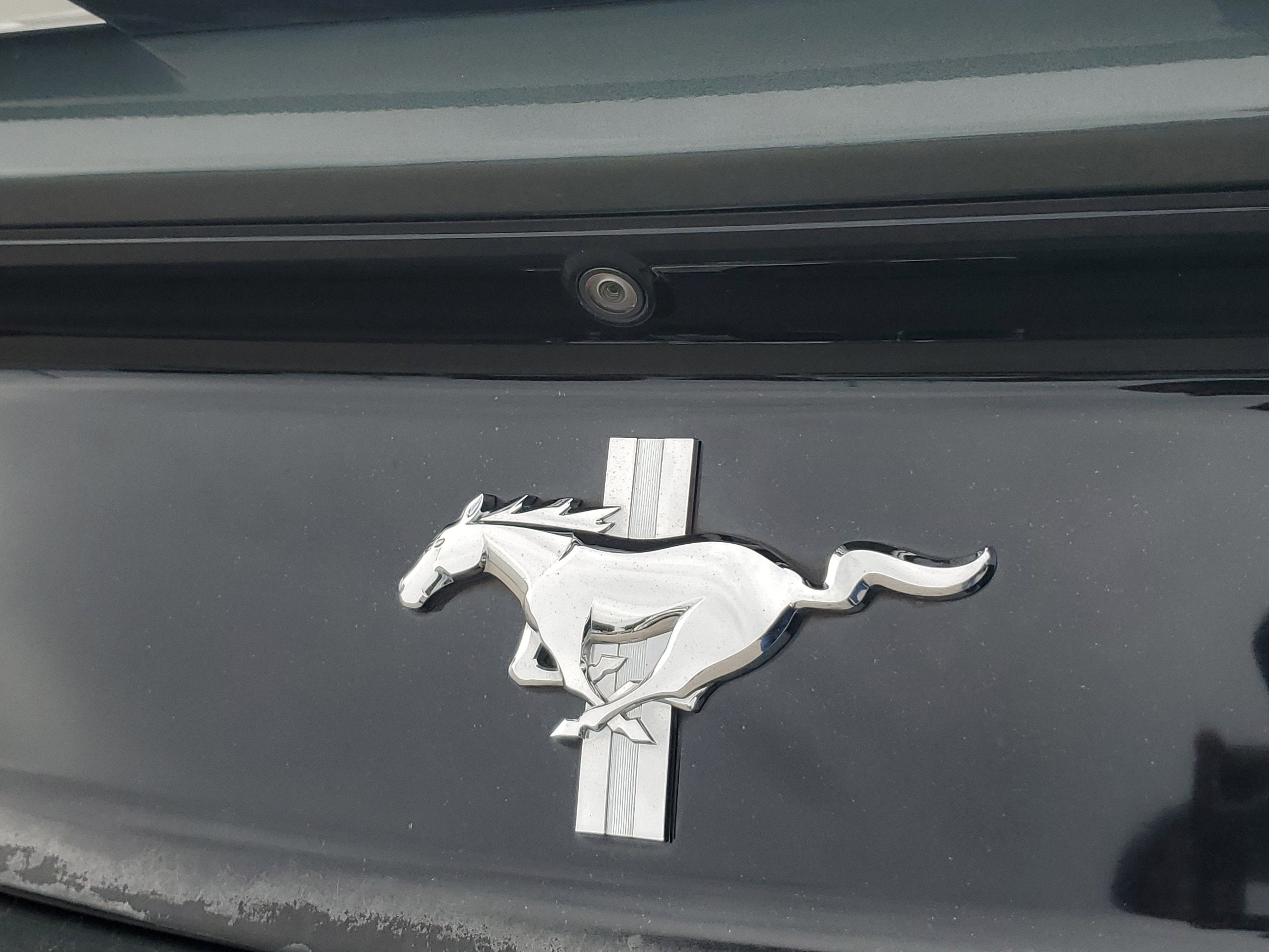 2015 Ford Mustang V6