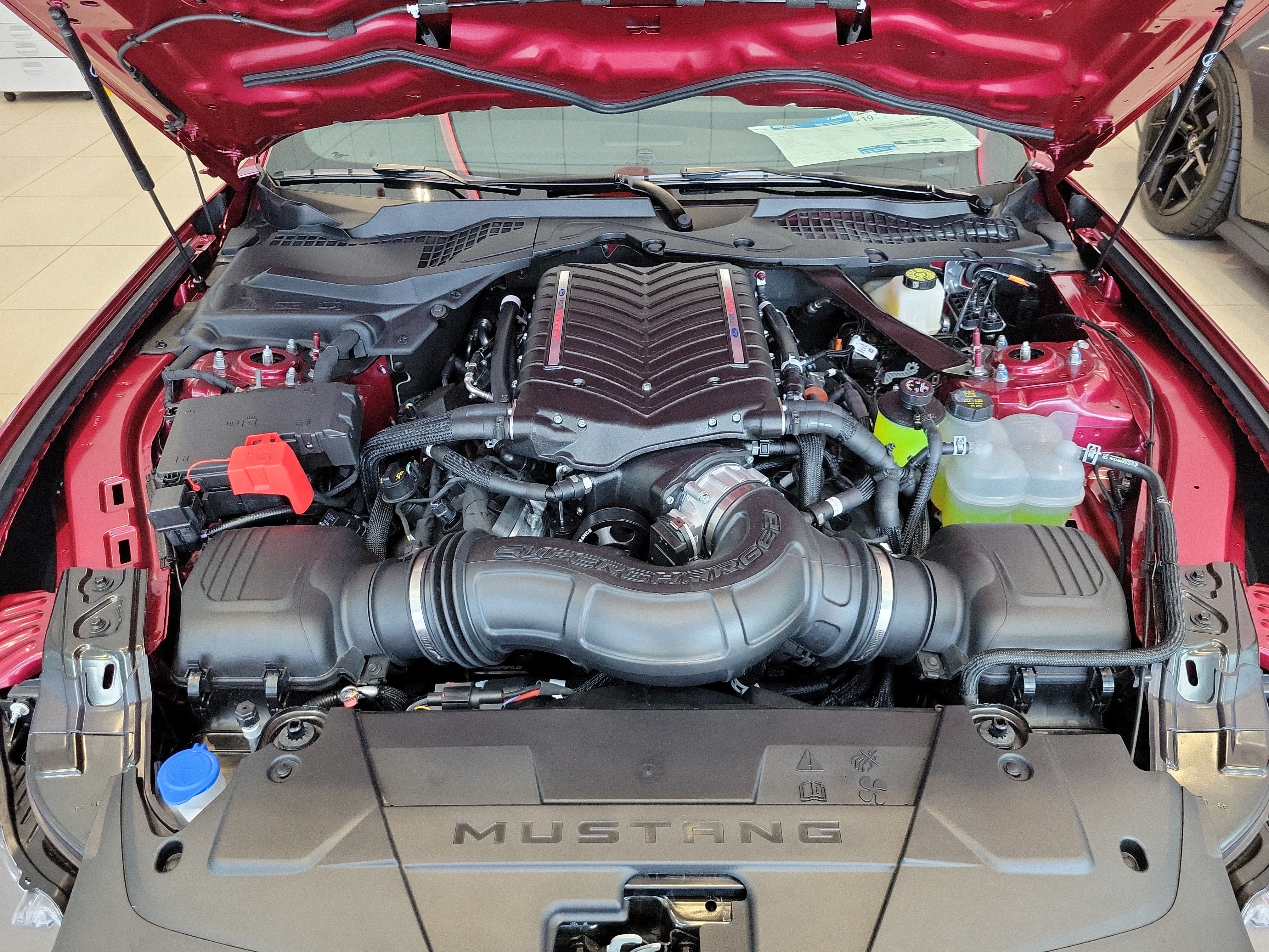 2026 Ford Mustang GT