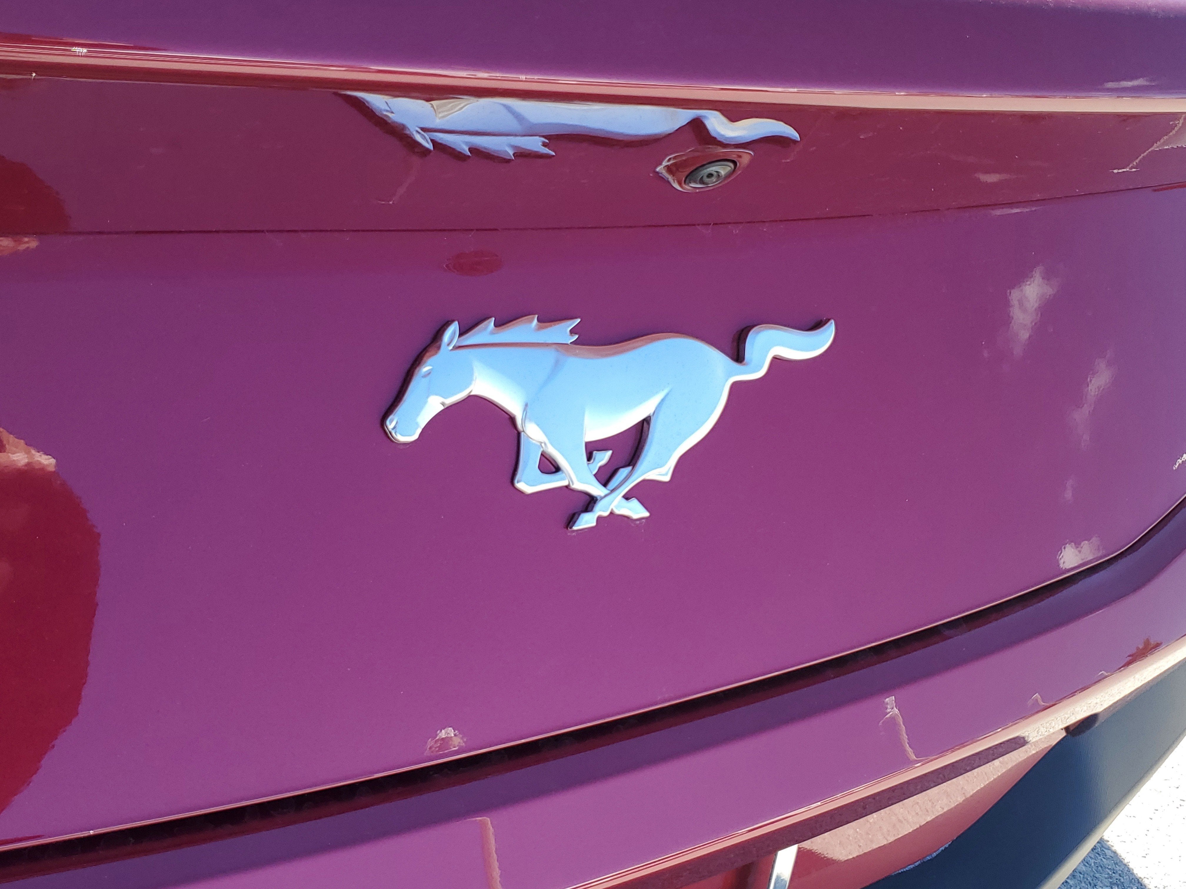 2026 Ford Mustang EcoBoost