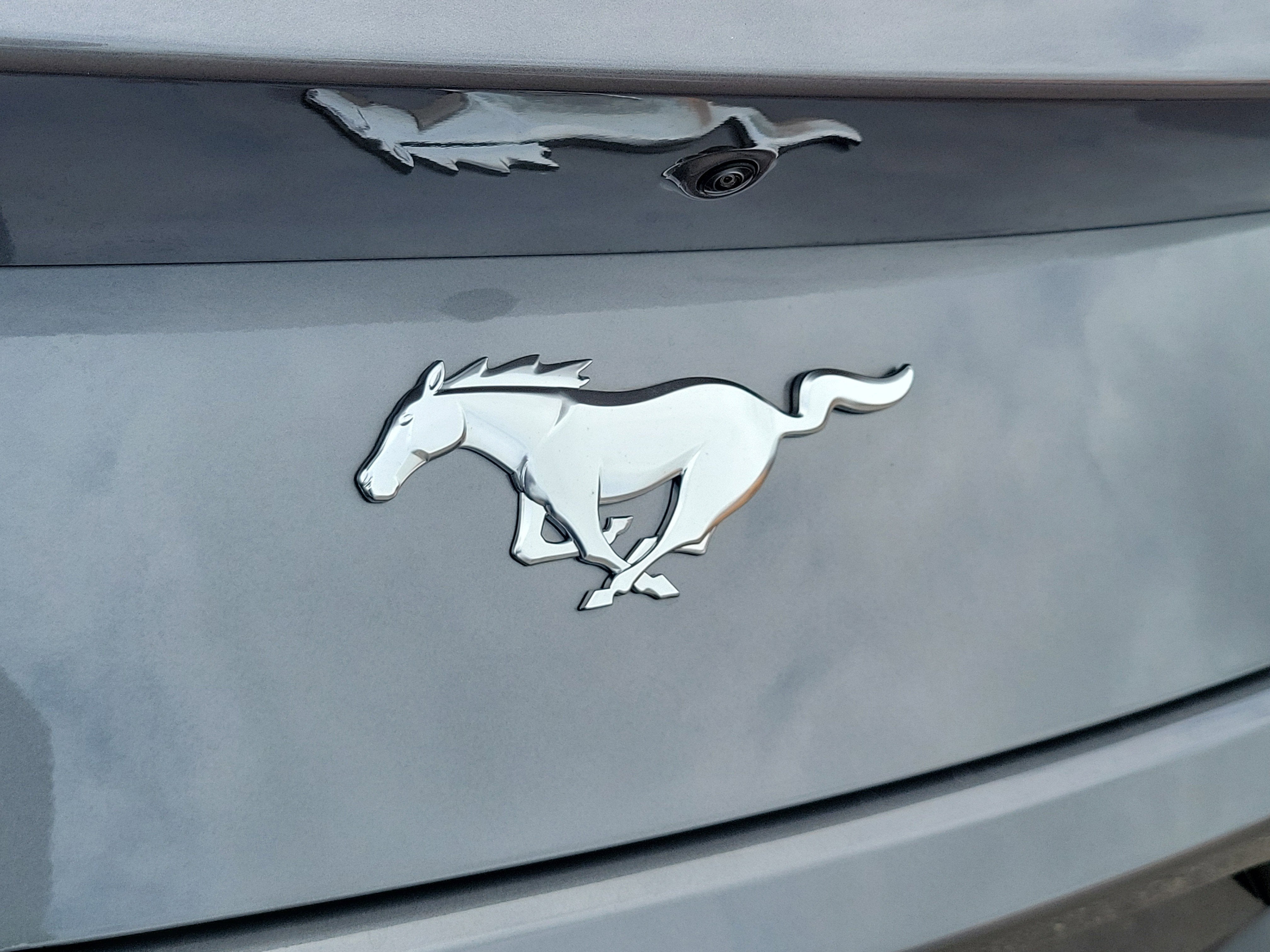 2026 Ford Mustang I4CP