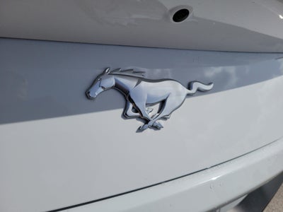 2026 Ford Mustang I4CP