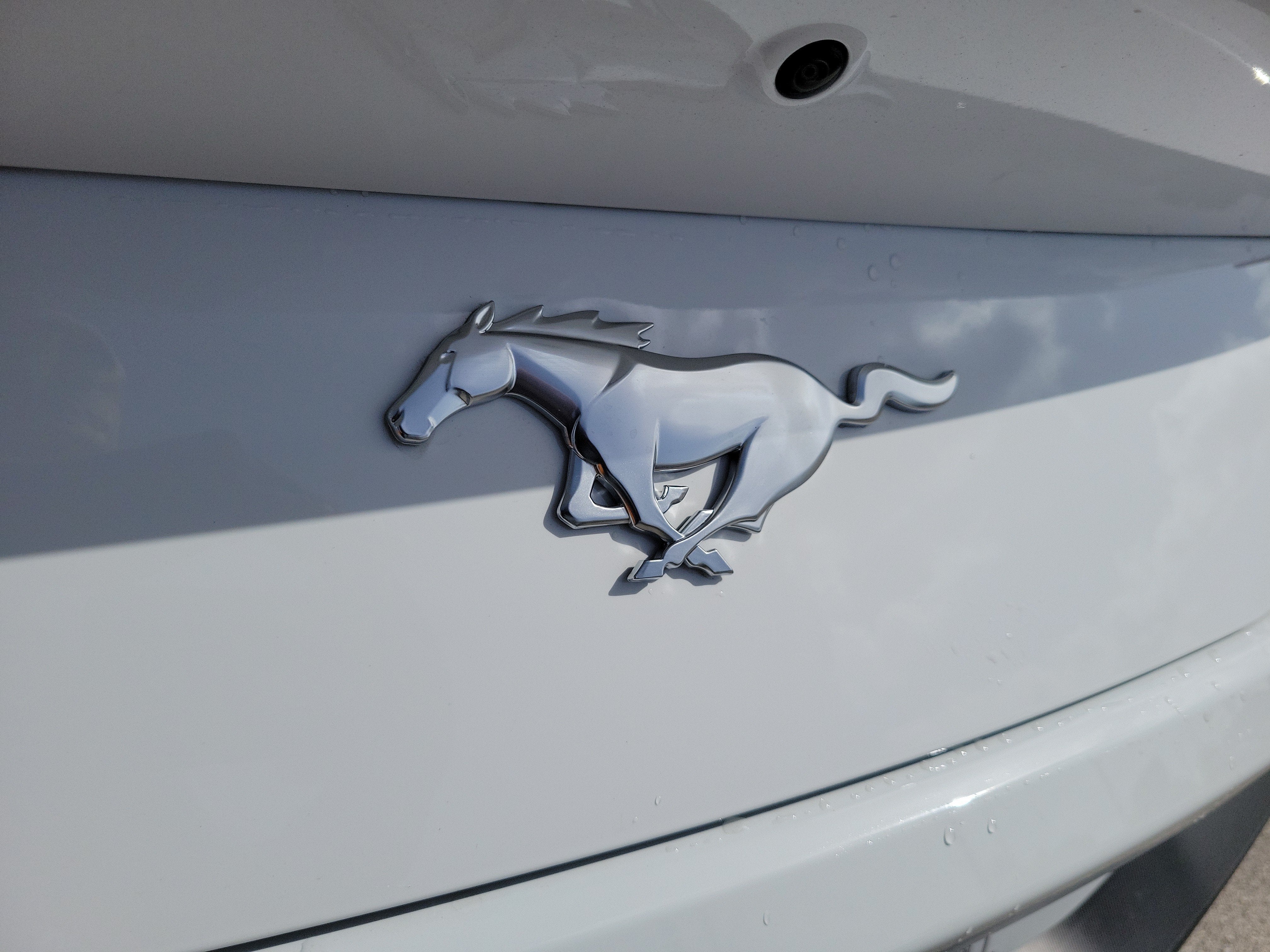 2026 Ford Mustang I4CP