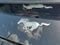 2026 Ford Mustang I4CP
