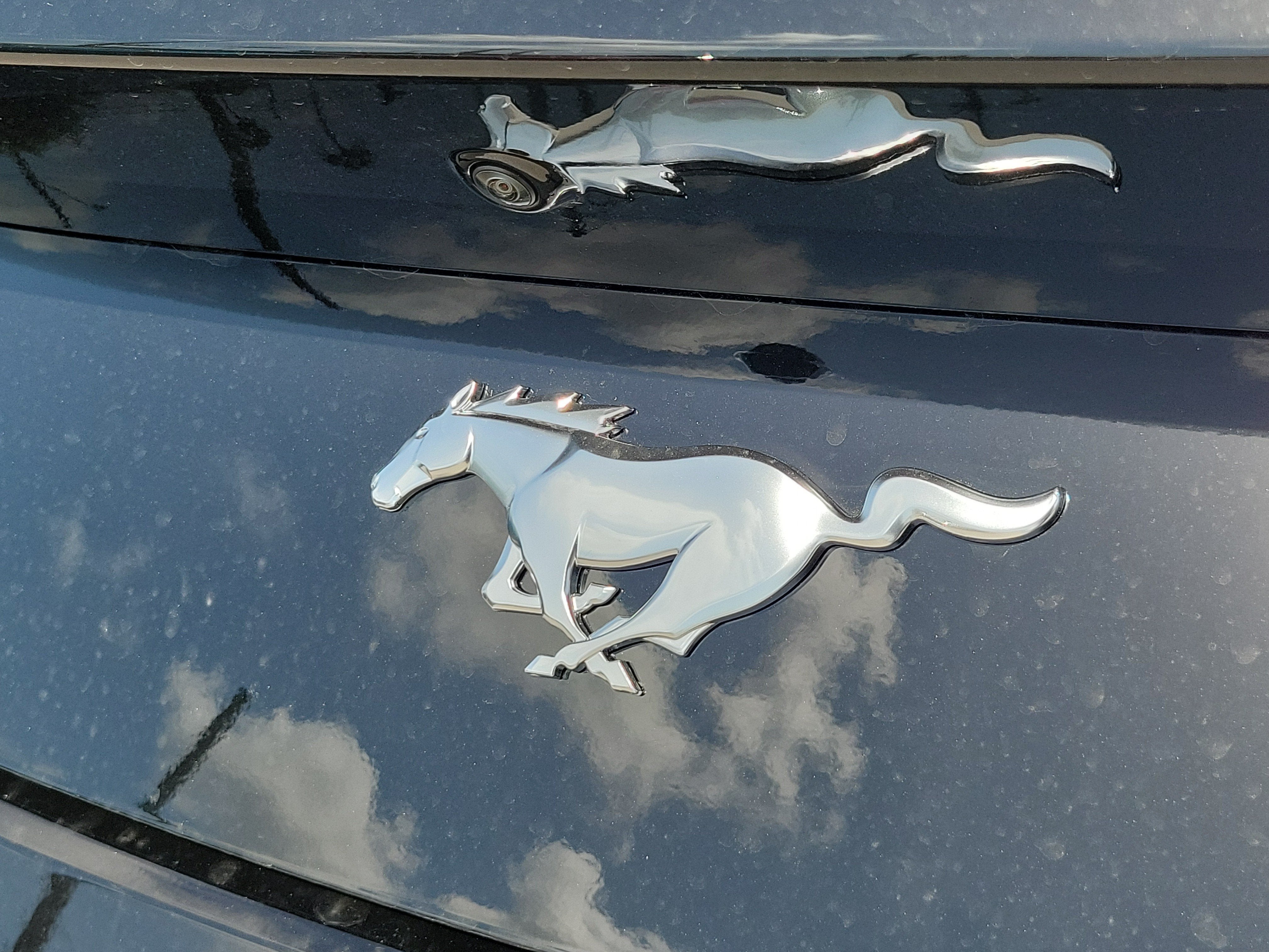 2026 Ford Mustang I4CP