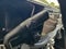 2026 Ford Super Duty F-350 SRW Base