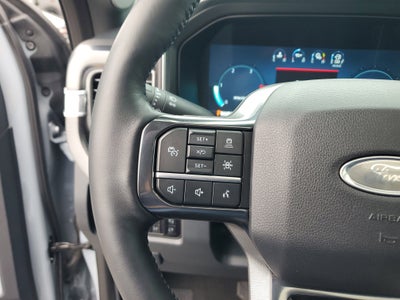 2025 Ford Super Duty F-450 DRW Platinum 4WD Diesel