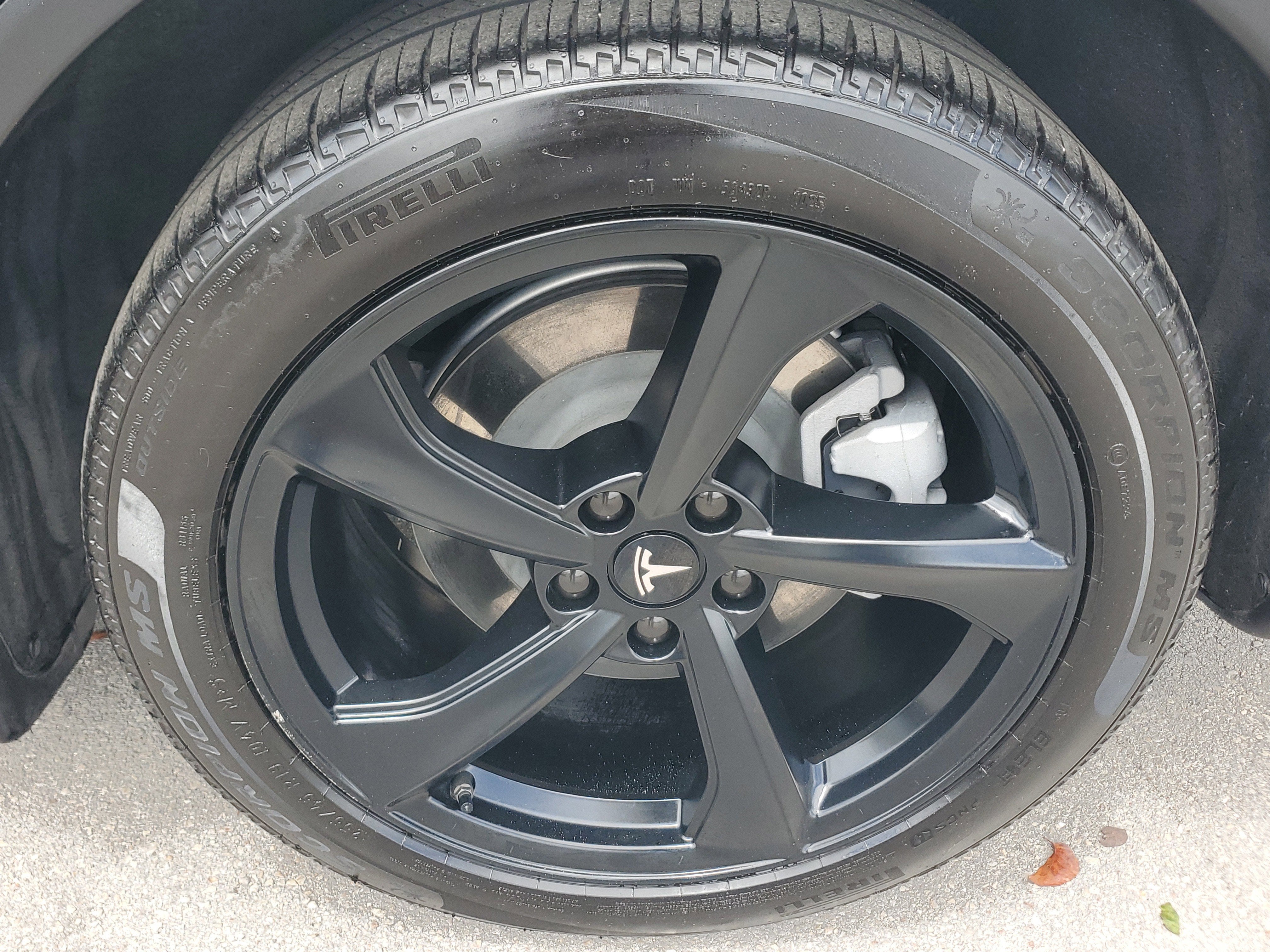 2026 Tesla Model Y Long Range Launch Series