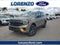 2026 Ford Expedition Tremor®