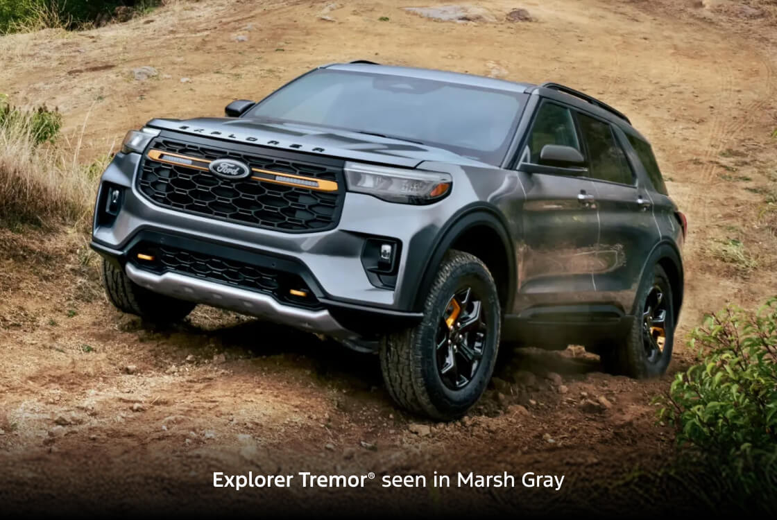 Explorer Tremor seen in Marsh Gray